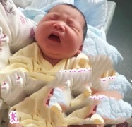 爱的延续，韵心的使命