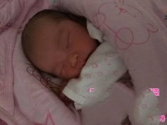 春天移植，冬天收获！恭喜X女士，母子平安！