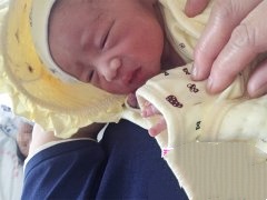 恭喜丁克家族成功助孕